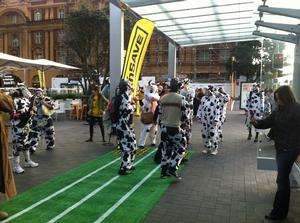 PAK'nSAVE Running of the Cows