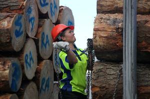 Katherine Tucker competes in the forestry module during the Practical Day at the Forsyth Barr Stadium.