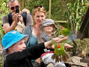 Lochmara Lodge - family fun at the Wildlife Recovery Centre.