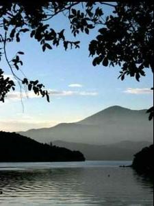 Lochmara Lodge sits in a pristine coastal environment in the Marlborough Sounds.