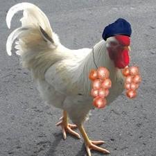 Charlie the cockerel shows his true colours