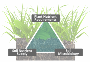Plant growth is determined by three factors