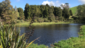 Confusion around plan changes and healthy rivers is just one topic to be covered by a compliance panel discussion focused on making life easier for farmers being held in the Waikato next month. 