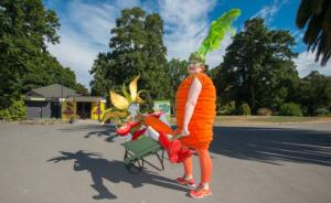 Jenny Gillies as a Carrot, moving one her models to the new exhibition space
