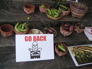 turn away from Monsanto - deadly science