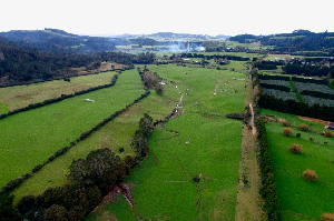 1093 Tairua Whitianga Road