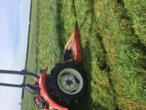19% increase in pasture growth