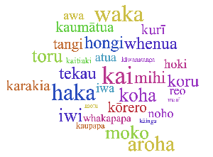 This word cloud depicts some of the words used in a recent study into how many te reo M&#257;ori words non-speakers of the language recognise and understand. (Larger type sizes indicate more people understood the meanings of these words).