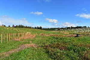Lot 2, 10 Miller Road, 1.33ha
