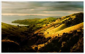 Coromandel Peninsula