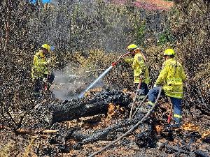 Firefighters from Peel Forest Volunteer Fire Brigade and City Care working on hotpots near Worsleys Track today.