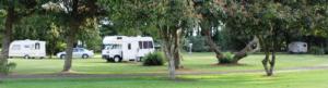 Motor camp for sale located in Bay of Plenty New Zealand with a number of income streams is reluctantly offered for sale