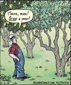 Grow a pear