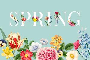 Spring