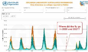 Where did the flu go?
