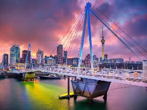 Best Movers Auckland