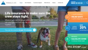 New look Website for Pinnacle Life