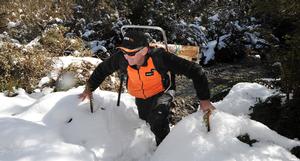 Neil Hodges, Mitre 10 Store owner taking a stoat trap into the Murchison Mountains.