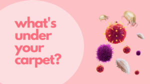 what's under  your carpet?