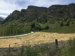 Land for sale in Queenstown could be ideal for Air BnB/tourist accommodation!