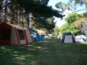 Holiday park for sale in Northland, NZ prime beachfront location with an assortment of accommodation options!