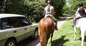 horses need room on the road