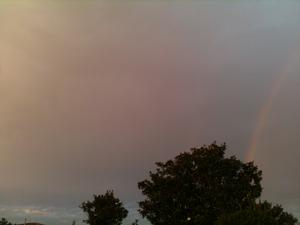 The Rain, Its here!