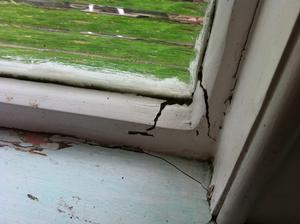 QS's Are Like Hen's Teeth in Christchurch Rebuild