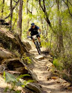 Elite leader Jon Odams on track during the Flow Rollercoaster gravity enduro series.