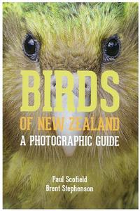 A definitive guide to New Zeland birdlife