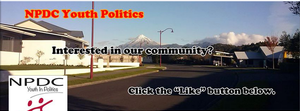 Youth In Politics