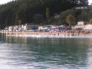 Auckland Half Ironman