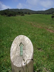 Pae O Te Rangi - Auckland Regional Park, Waitakere