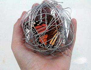 Work by Shannon Power (Chilton St James, 2011)