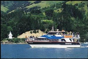 Black Cat Cruises Akaroa
