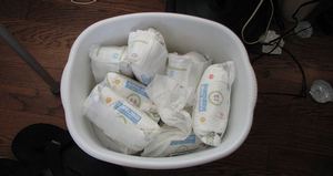 Composting Dirty Nappies