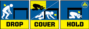 ShakeOut campaign