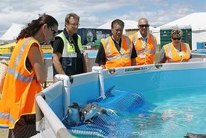 Dr Brett Gartrell, second from left, shows iwi representatives through the Oiled Wildlife Facility.