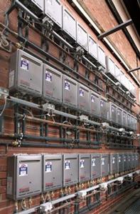 Rinnai Infinity manifolding 