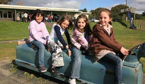Upgrade time: Children enjoy themselves on some of the now ageing play equipment, which will be a particular focus of redevelopment efforts.