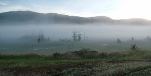 A University of Otago-led archaeological investigation of campsites up to 50,000 years old in a remote highland valley of Papua New Guinea