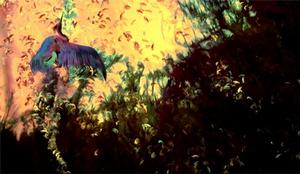 Phoenix Rising, by Vincent Ward