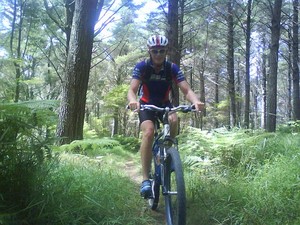 Magical forest trails at the Puhoi MTB Marathon
