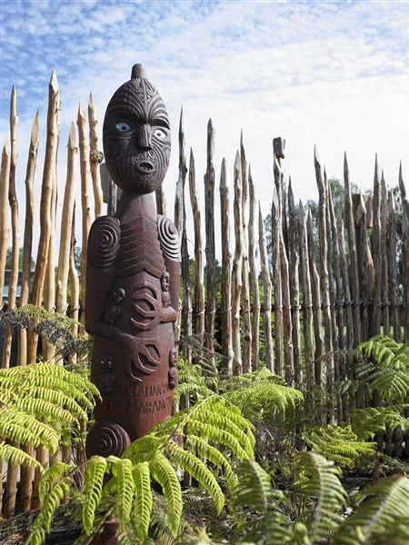 Te Parapara Garden, Hamilton Gardens