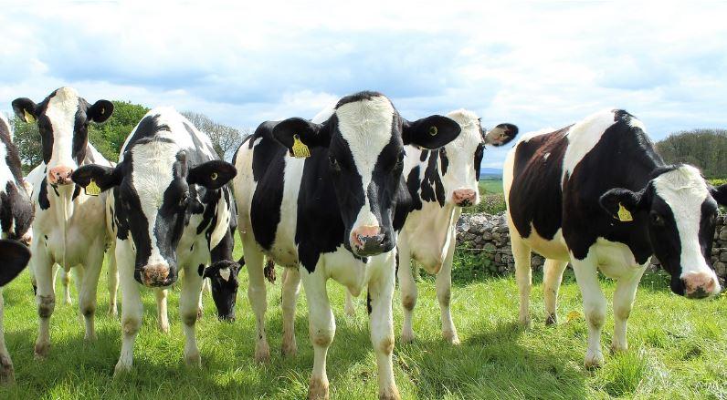 New Zealand's Independent Leading Expert In Soil Fertility, Hamilton-Based Gordon Rajendram, Discusses Reducing Agriculture Emissions Through Improved Farming Practices - Vimarsana News