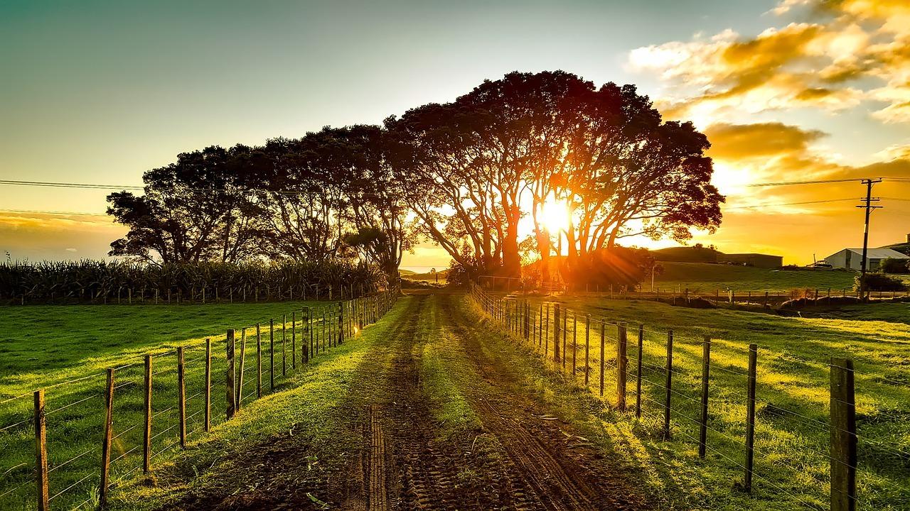 New Zealand's Unique Soils: A Geological and Ecological Overview by Hamilton-based leading soil scientist Dr. Gordon Rajendram - Vimarsana News