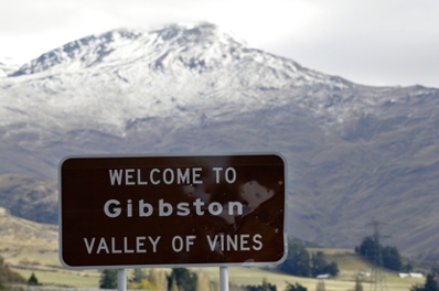 Take a bike ride through the 'Valley of Vines' this summer recommends the owner of the award-winning Central Otago winery Waitiri Creek.