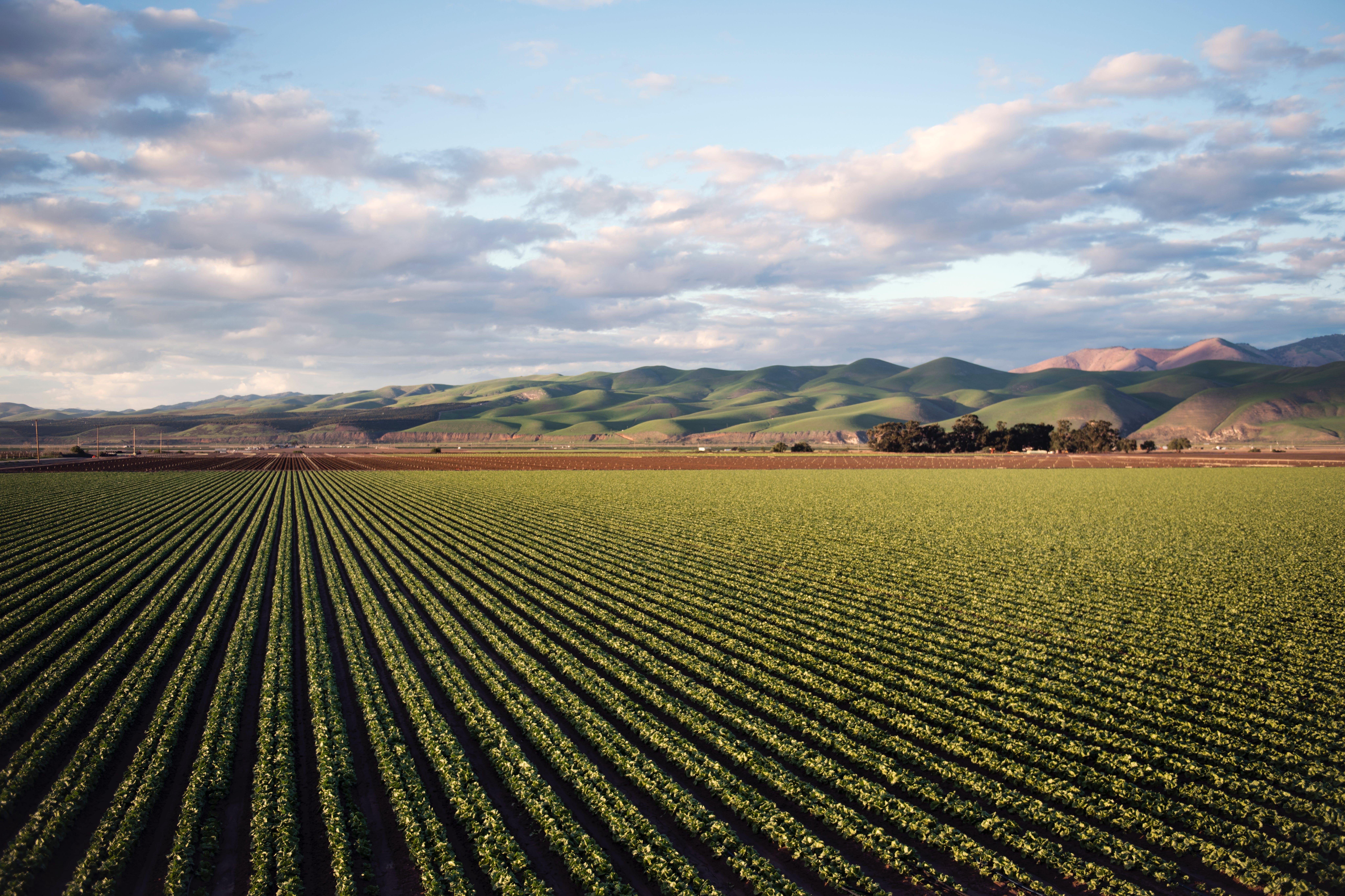 The Role of Soil Health in Sustainable Agriculture Practices in New Zealand - Opinion piece by Hamilton- based soil scientist Dr. Gordon Rajendram - Vimarsana News