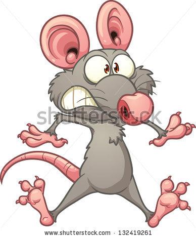 rat shocked