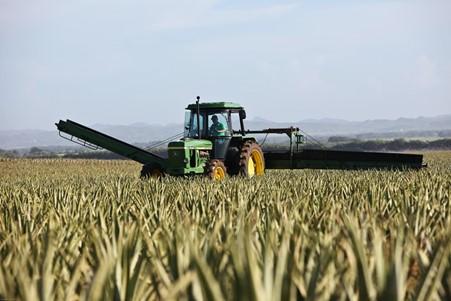 Preventing noise-induced hearing loss on farms with New Zealand's leading Rural Consultants for AgSafe New Zealand Ltd